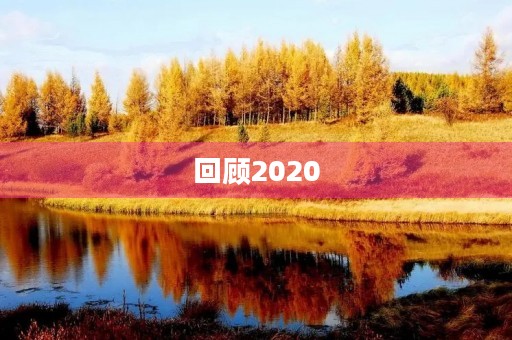 回顾2020,展望2021:探寻新机遇 回顾2020,展望2021:探寻新机遇