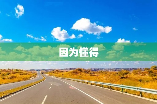 因为懂得 因为懂得
