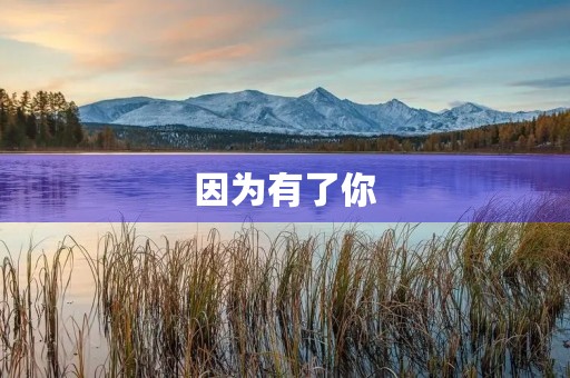 因为有了你，我的生命之路更加充满光彩