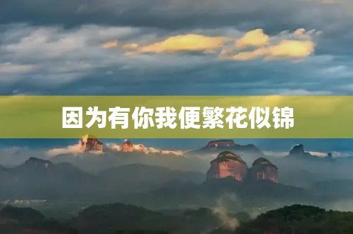 因为有你我便繁花似锦 因为有你我便繁花似锦