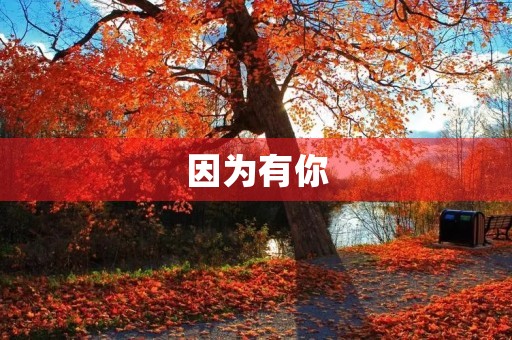 因为有你,我变得更加勇敢 因为有你,我变得更加勇敢