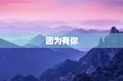因为有你 因为有你