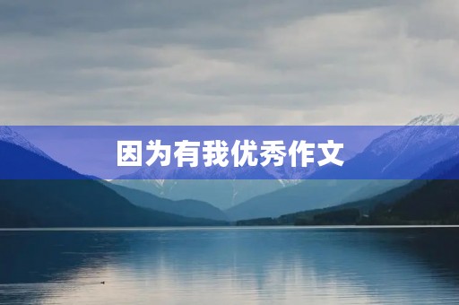 因为有我优秀作文，我变得更自信