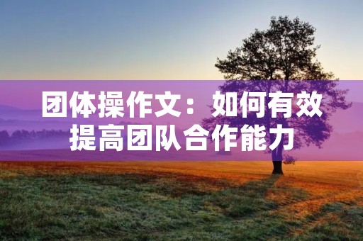 团体操作文：如何有效提高团队合作能力
