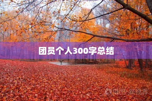 团员个人300字总结