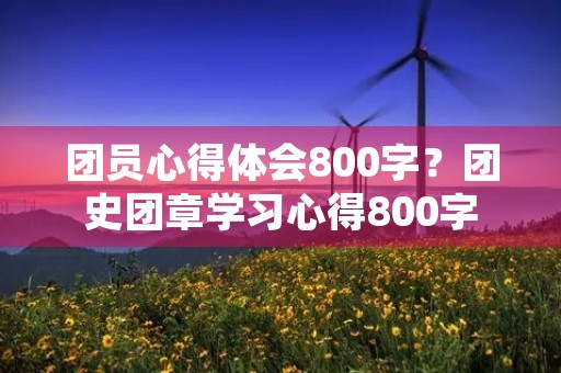 团员心得体会800字?团史团章学习心得800字 团员心得体会800字?团史团章学习心得800字