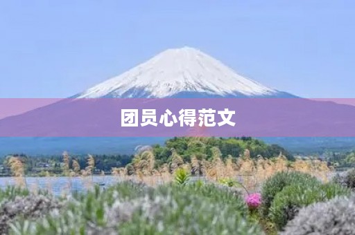 团员心得范文 团员心得范文