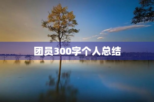 团员300字个人总结