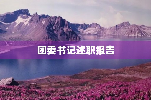 团委书记述职报告 团委书记述职报告