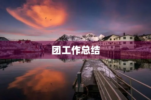 团工作总结