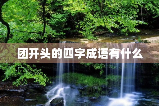 团开头的四字成语有什么
