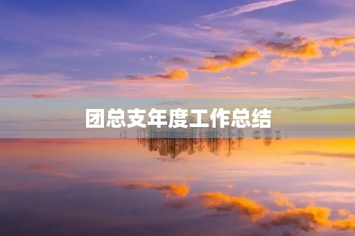 团总支年度工作总结