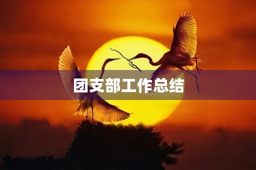 团支部工作总结 团支部工作总结