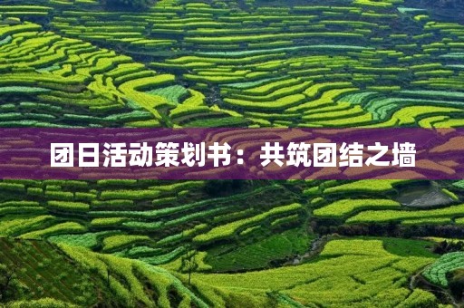 团日活动策划书:共筑团结之墙 团日活动策划书:共筑团结之墙