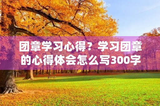 团章学习心得?学习团章的心得体会怎么写300字左右 团章学习心得?学习团章的心得体会怎么写300字左右