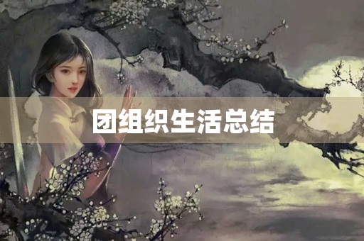 团组织生活总结
