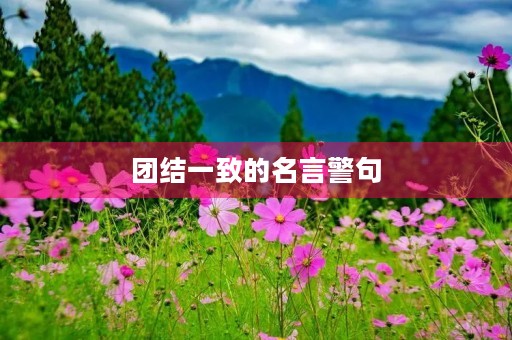 团结一致的名言警句，团结一致的名言警句有哪些