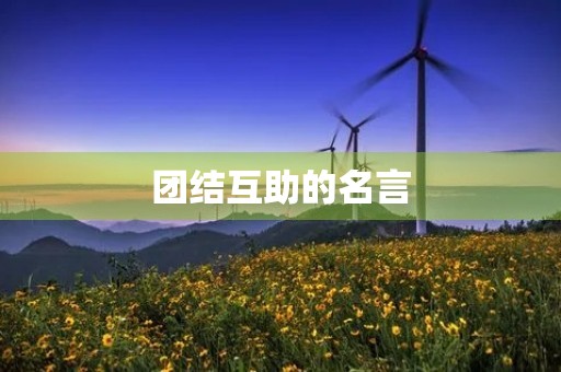 团结互助的名言(团结互助的名言名句)