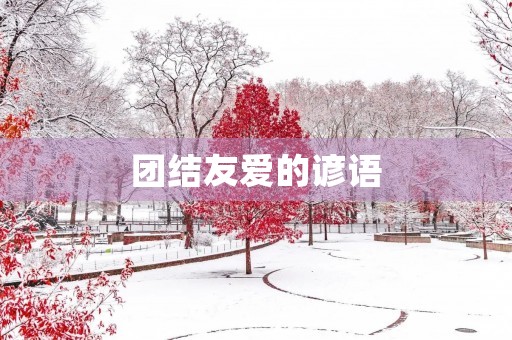 团结友爱的谚语,形容好的人聚在一起的谚语 团结友爱的谚语,形容好的人聚在一起的谚语