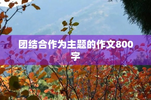 团结合作为主题的作文800字