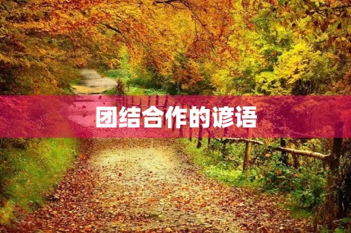 团结合作的谚语(团结俗语大全100句) 团结合作的谚语(团结俗语大全100句)