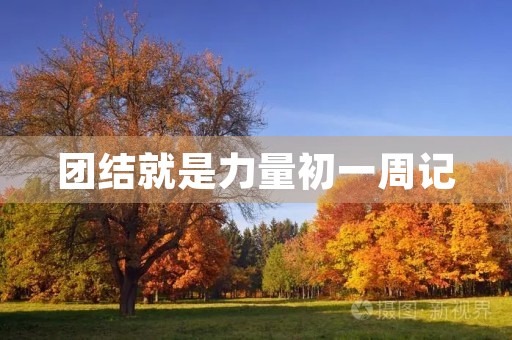 团结就是力量初一周记