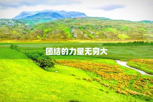 团结的力量无穷大