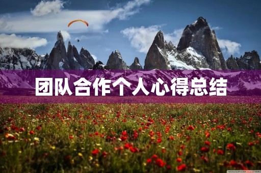 团队合作个人心得总结
