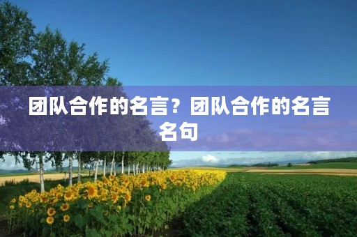 团队合作的名言?团队合作的名言名句 团队合作的名言?团队合作的名言名句