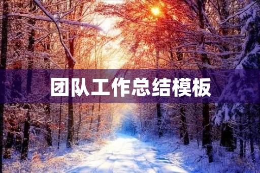团队工作总结模板