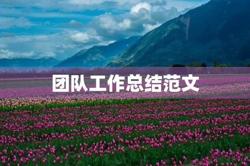 团队工作总结范文