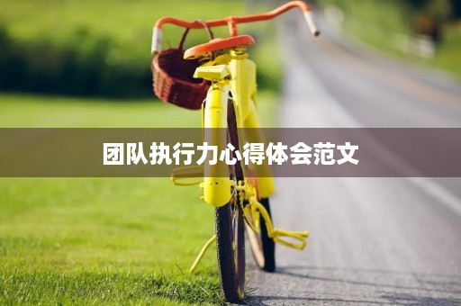 团队执行力心得体会范文
