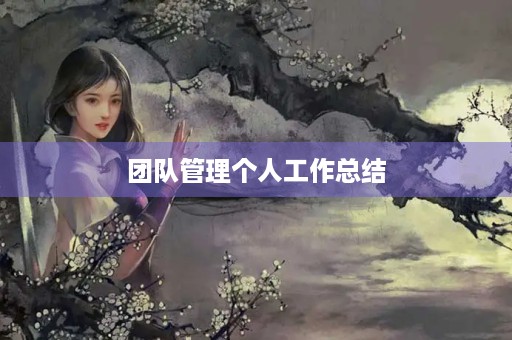 团队管理个人工作总结