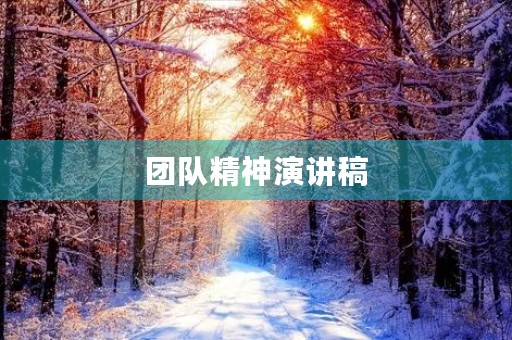 团队精神演讲稿 团队精神演讲稿