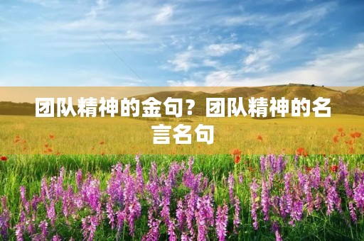 团队精神的金句?团队精神的名言名句 团队精神的金句?团队精神的名言名句