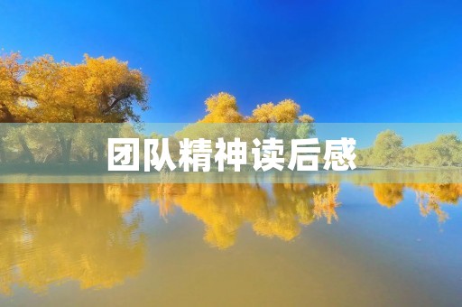 团队精神读后感 团队精神读后感