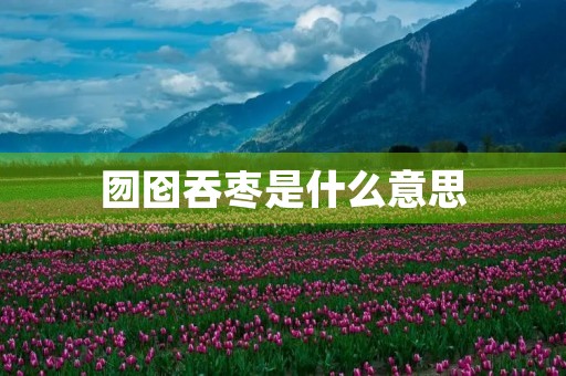 囫囵吞枣是什么意思