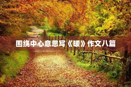 围绕中心意思写《暖》作文八篇 围绕中心意思写《暖》作文八篇
