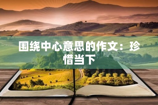 围绕中心意思的作文：珍惜当下