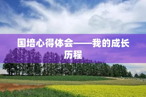 国培心得体会——我的成长历程