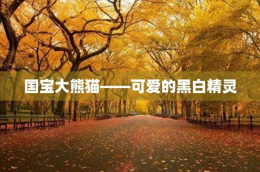 国宝大熊猫——可爱的黑白精灵