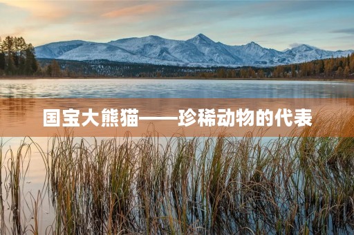 国宝大熊猫——珍稀动物的代表