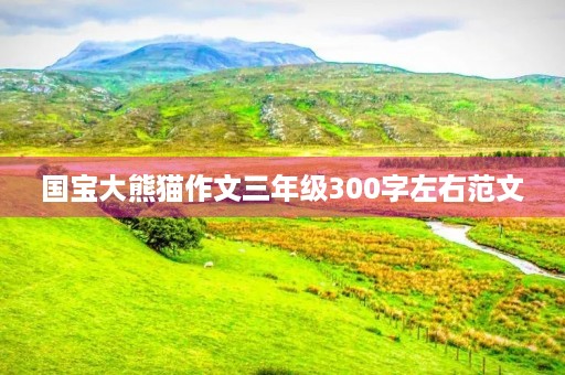 国宝大熊猫作文三年级300字左右范文