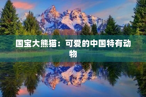 国宝大熊猫:可爱的中国特有动物 国宝大熊猫:可爱的中国特有动物