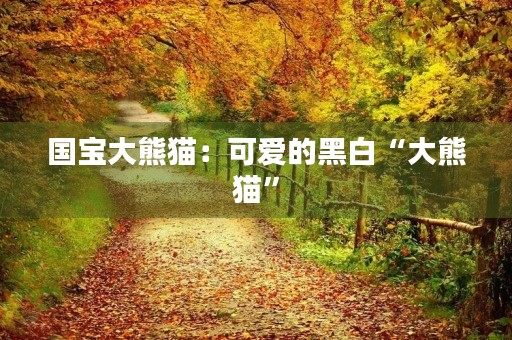 国宝大熊猫:可爱的黑白“大熊猫” 国宝大熊猫:可爱的黑白“大熊猫”