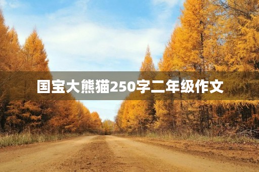 国宝大熊猫250字二年级作文