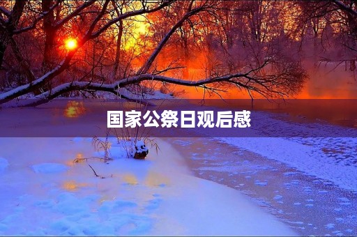 国家公祭日观后感