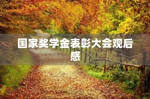国家奖学金表彰大会观后感