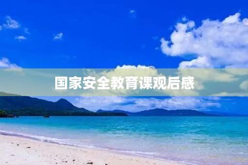 国家安全教育课观后感 国家安全教育课观后感