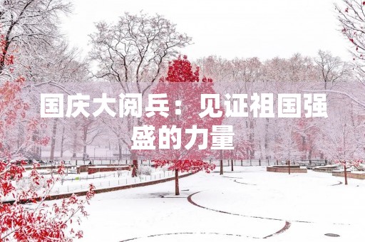 国庆大阅兵:见证祖国强盛的力量 国庆大阅兵:见证祖国强盛的力量